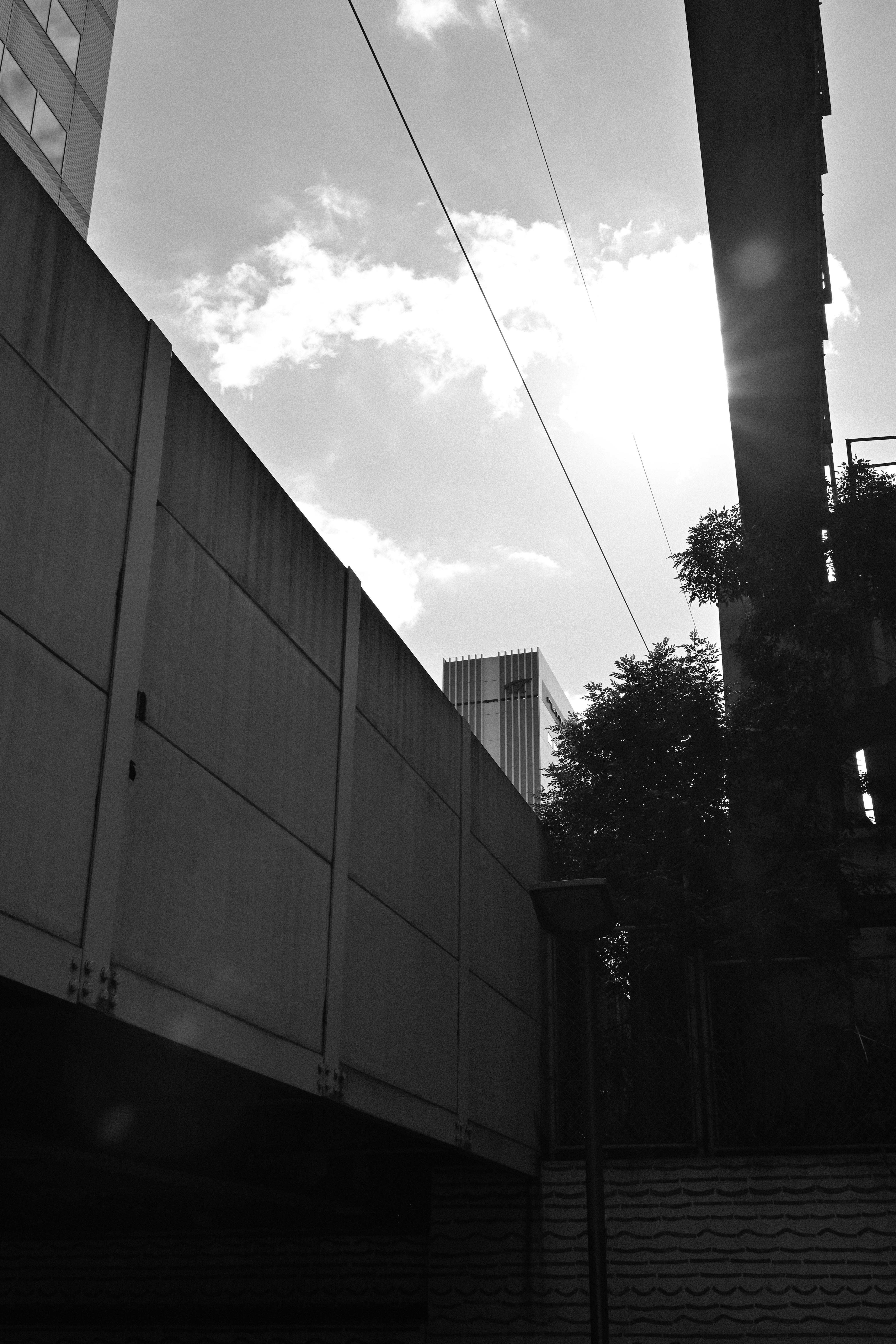 不小心開到黑白的照片 XD