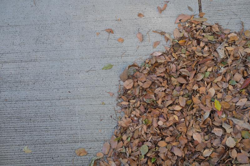 Featured image of post About Me